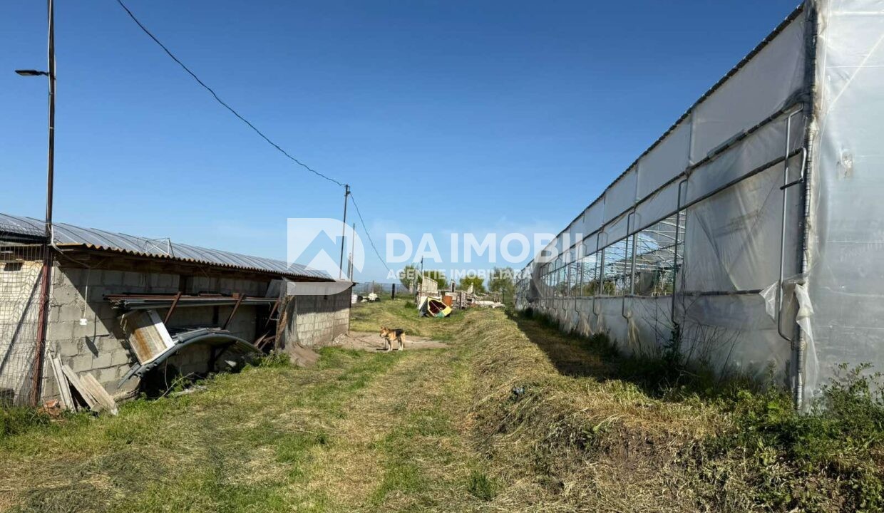 изображение_viber_2026-04-28_10-58-55-327