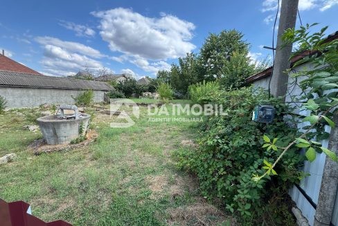 photo_2026-07-24_11-16-13